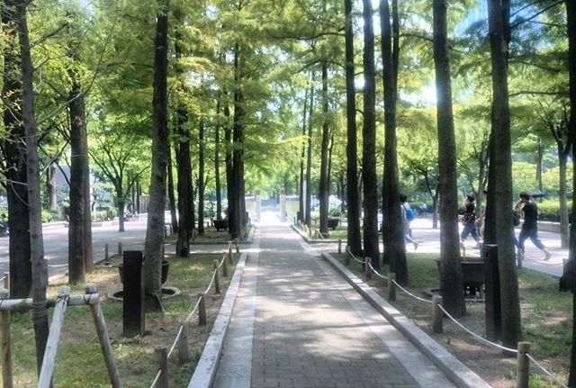先程の写真と同じ場所です。この時期は植物が元気ですね。三宮は猛暑で真夏のようでした。明日はビアガーデン(￣ー￣)ﾆﾔﾘ楽しみです#神戸 #kobe #東遊園地