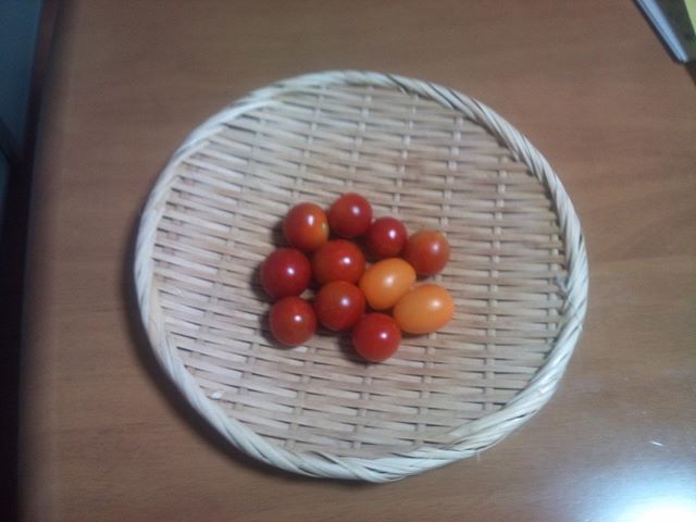 今日もプチトマトとイエロートマト。明日にはまた大玉トマトが採れそうです(^-^)大玉で冷蔵庫がいっぱいになってきたぞ. (￣▽￣)ニヤリ#家庭菜園 #トマト #tomato