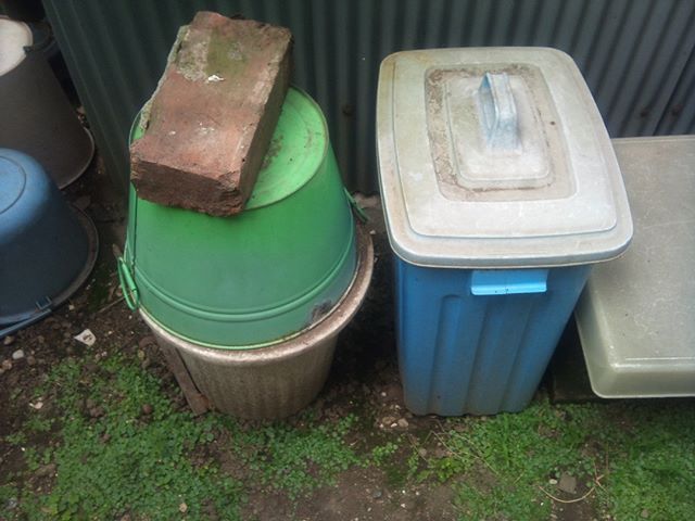 堆肥作りに活躍しているお二人です。右側が生ごみを日々どんどん投入する容器でここに2週間投入し続けます。その後左の容器に移動後圧縮した上に土で多い空気を遮断、二週間かけて発酵させていきます。ここまでが第一工程で最初の生ごみ投入から一ヶ月はここで過ごすことになります。#家庭菜園 #堆肥作り