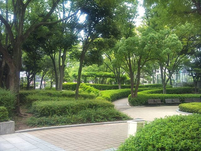 昼休憩にはよく行く三宮の東遊園地です。三宮では珍しく緑が多いので気分転換にはちょうどいいのです。結構広いのでお弁当を食べる人やスポーツをする人などがたくさんいます#神戸 #東遊園地