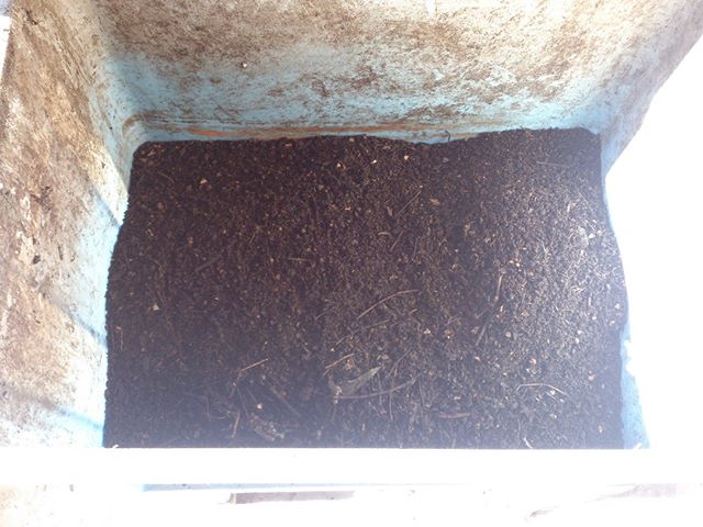 今年最後の堆肥のふるい分けも終了しました。寒くなるにつれ分解が遅くなり、温度上昇を少なくなりましたので好気性発酵はしばらく休業することにします。これからは昨年同様手抜き堆肥づくるをすることにします。#堆肥 #家庭菜園 #コンポスト