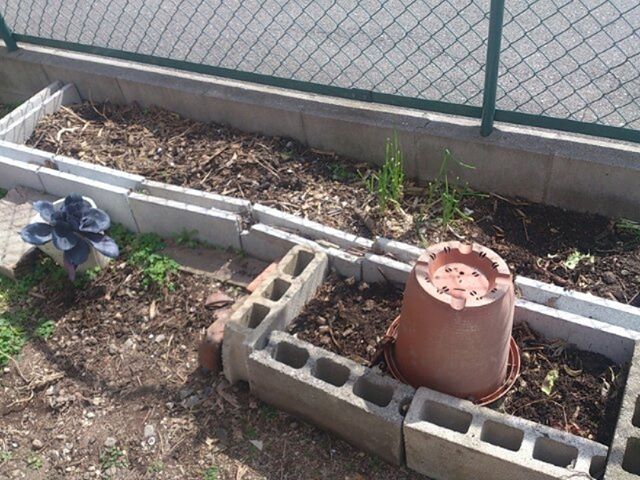 ブロックが残っていたのでトマトの予定地を拡大しました。（プランターを置いているあたり）置き方を工夫したらまだまだ増やせそうだな。直植えのほうがプランターよりも管理が楽なのと日当たりもいいので段階的に拡大していくつもりです。#家庭菜園 #プランター #トマト
