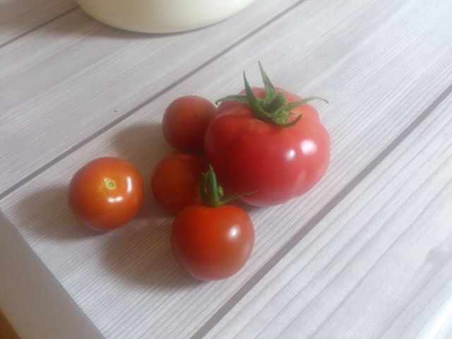 初代大玉トマトを収穫。とはいえ大きさは中玉くらいですかな