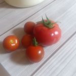 初代大玉トマトを収穫。